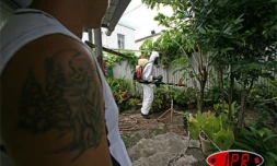 Prophylaxie et lutte contre le moustique