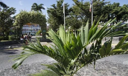 Mairie de Saint-Louis