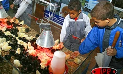 Foire agricole de Bras Panon (Photo archives)