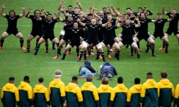 Le haka des All Blacks, avant leur match contre l'Australie le 11 octobre 2020 à Wellington