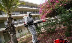 Lutte contre le chikungunya (Archives)