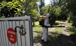 Lutte contre le chikungunya