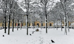 Au jardin des Tuileries à Paris le 7 février 2018