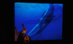 "Contrebasse et baleines" -
Bernard Abeille (Photo : La Lyrone)