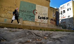 Une jeune Algérienne marche dans un quartier populaire d'Alger, le 28 février 2019