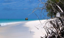 Juan de Nova (Photo Patrick Pinet - Ecomar)