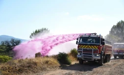 Les pompiers répandent du retardant le 19 août 2021 au Luc, dans le Var
