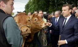 Le président français Emmanuel Macron lors d'une visite à Verneuil-sur-Vienne (Haute-Vienne), le 9 juin 2017 