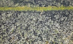 PrĂšs du village de NormĂ©tal dans l'ouest du QuĂ©bec oĂč des milliers d'hectares de forĂȘts ont brĂ»lĂ©, le 22 septembre 2023