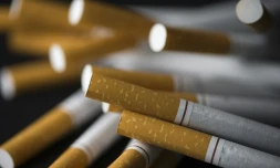 Le tabac a fait 75.000 morts en France en 2015, ce qui représente plus d'un décÚs sur huit, selon les derniers chiffres officiels