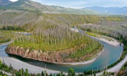 Des pins le long de la rivière Flathead dans le parc national Glacier, dans le Montana (nord-ouest des Etats-Unis), le 16 septembre 2019
