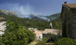 Un incendie à Palneca en Corse le 3 août 2017