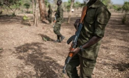 Des gardes forestiers lors d'un entraînement dans un parc au Bénin, en 2018