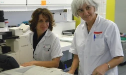 Le Dr Ricard, responsable du centre de don (Ă droite) et une technicienne collaboratrice du centre de don de moelle (Photo : DR)