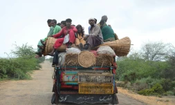 Des habitants du district de Sujawal, au Pakistan, évacuent de la zone côtière, le 14 juin 2023