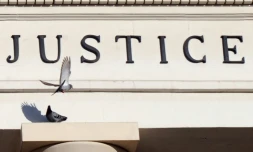 Les prévenus sont jugés pour des jugés pour des vols ultraviolents commis aux domiciles de commerçants asiatiques