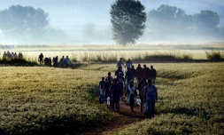 Des migrants syriens traversent un champ pour atteindre la frontière entre la Grèce et la Macédoine du Nord, le 29 août 2015