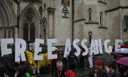 Une foule de manifestants réunie devant la Haute Cour de Londres, le 21 février 2024
