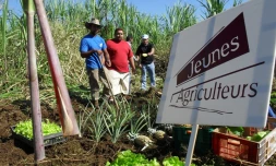 Samedi 19 juin 2010: Opération de sensibilisation à la préservation du foncier agricole par le syndicat des Jeunes Agriculteurs
