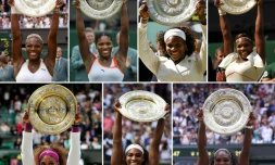 Photomontage, réalisé le 12 juillet 2019, représentant les 7 titres déjà remportés par Serena Williams sur le gazon londonien de Wimbledon