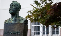 Un buste du scientifique Alfred Nobel, le 25 septembre 2024 Ă Oslo