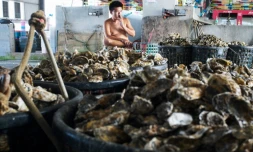 Un ouvrier fume devant des coquilles d'huîtres, le 5 juillet 2024 dans le comté de Chiayi à Taïwan