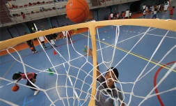 Jeudi 24 Juin 2010

Les 200 petits basketteurs au complexe sportif de Flacourt à Sainte-Marie