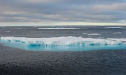 La banquise au Canada