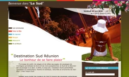 Le site de l'Office de Tourisme Intercommunal du sud (Copie d'écran)