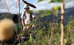 Mardi 29 juin 2010
Visite du site de reconstitution de la forêt semi-sèche de La Grande Chaloupe (Photo Marie Trouvé)
