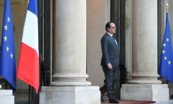 Le président français Francois Hollande sur le perron du palais de l'Elysée, le 20 janvier 2016 à Paris