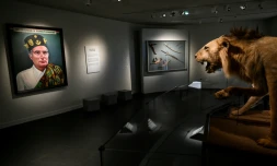 Des cadeaux offerts à l'ex-président socialiste François Mitterrand exposés à la Cité des présents, le 10 mai 2026 à Château-Chinon, dans la Nièvre  