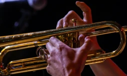 Adolescente, Maite Hontelé fait sonner sa trompette dans des boîtes de nuit des Pays-Bas "jusqu'à six heures du matin, seule femme dans un groupe d'hommes, jouant merengue, bachata, son cubain, salsa".