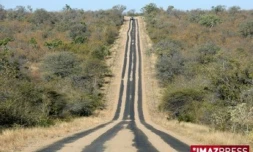 Parc Kruger (Afrique du Sud)