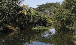 Etang Saint-Paul