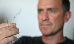 Le patron et fondateur de Synchron, Thomas Oxley, montre le stentrode, l'implant cérébral que son entreprise teste sur des patients depuis deux ans