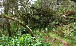 Sentier de la Roche Écrite (Photo Marie Trouvé)