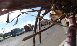 Les agriculteurs bloquent l'usine de Bois-Rouge (Photo d'archives, Mounice Najafaly)