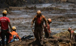Des sauveteurs à la recherche de victimes le 28 janvier 2019 dans la couleé de boue provoquée par la rupture d'un barrage minier près de Brumadinho, dans le sud-est du Brésil
