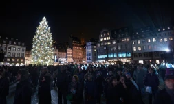 La foule devant un sapin de Noël à Strasbourg pour l'ouverture du marché de Noël le 28 novembre 2014