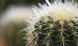 Vendredi 30 Juillet 2010

Salon flore et halle au Port
