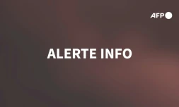 Deux puissants séismes surviennent au large du Japon