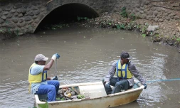Nettoyage de ravine à Saint-Paul (photo DR)