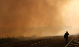 Un pompier marche sur une route à la lisière d'une zone en feu à Ares, le 26 juillet 2026, alors qu'un incendie de forêt ravage la forêt au nord du bassin d'Arcachon (Gironde) depuis le 22 juillet
