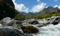 Paysage de La Réunion