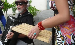 Samedi 7 Août 2010

Sakifo René Lacaille