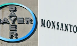 Les logos des entreprises Bayer et Monsanto