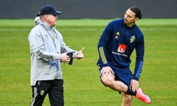 L'entraßneur de la SuÚde, Janne Andersson, s'adresse à l'attaquant Zlatan Ibrahimovic, lors d'une séance d'entraßnement, le 23 mars 2021 à Stockholm, à deux jours du match de qualification pour le Mondial-2022 contre la Géorgie