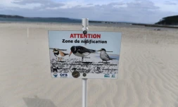 Une plage de la presqu'Ăźle de Crozon, en Bretagne, le 13 mai 2020