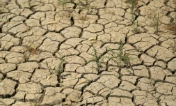 Des terres agricoles totalement desséchées dans le village de Jaliha, dans le centre de l'Irak le 26 avril 2022